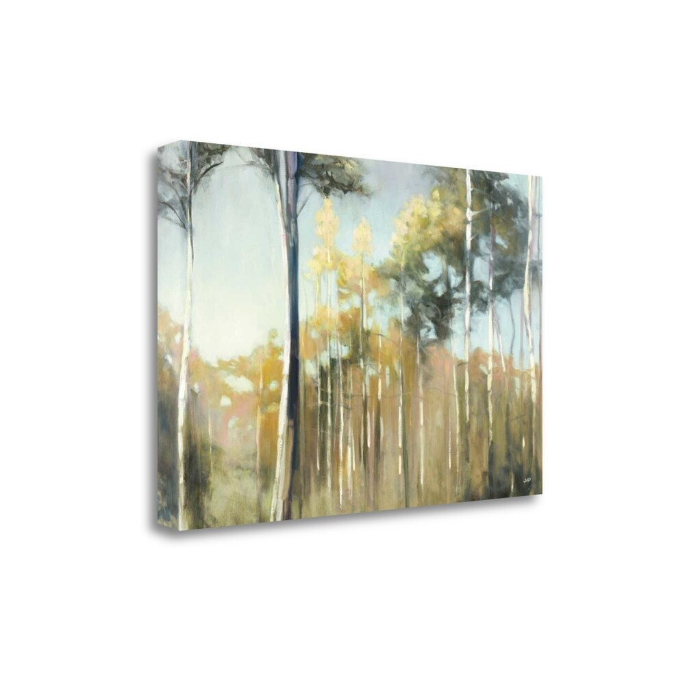 Aspen Reverie By Julia Purinton - Premium Fine Art Giclee Print on Gallery Wrap Canvas, Ready to Hang Wall Decor for Living Room, Bedroom & Office