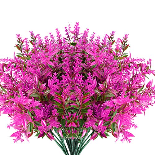 Fushia