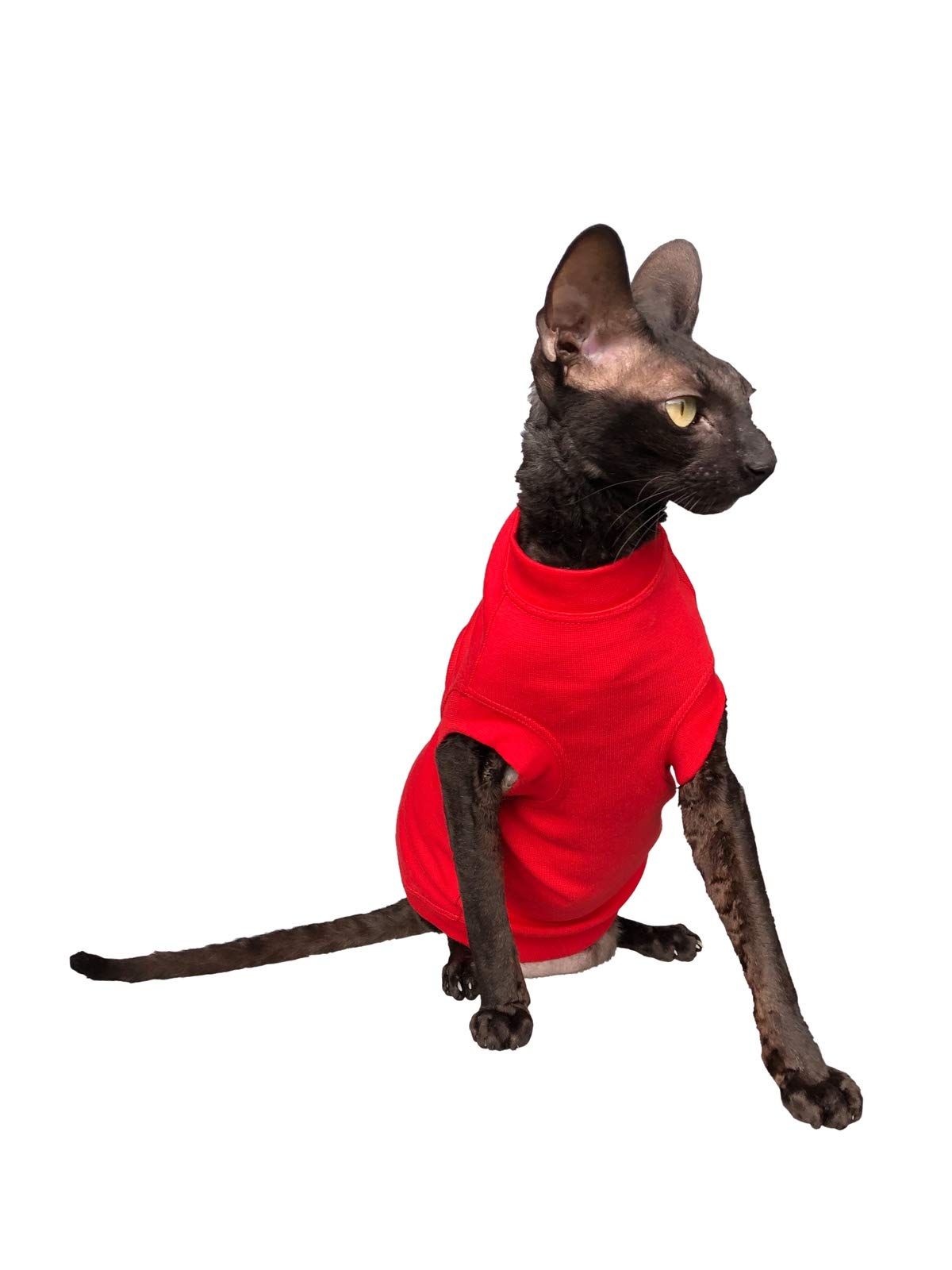Stylish Red Turtleneck Maxi Sweater for Sphynx & Hairless Cats - Soft Warm Winter Clothing for Naked Cats - Perfect for Indoor Comfort & Photo Shoots