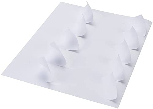 Coopaty 2 x 4 Inch Shipping Labels - 1000 Sheets (10000 Labels) Blank White FBA Address Labels for Laser & Inkjet Printers - Perfect for Amazon FBA, USPS, UPS & FedEx Packages