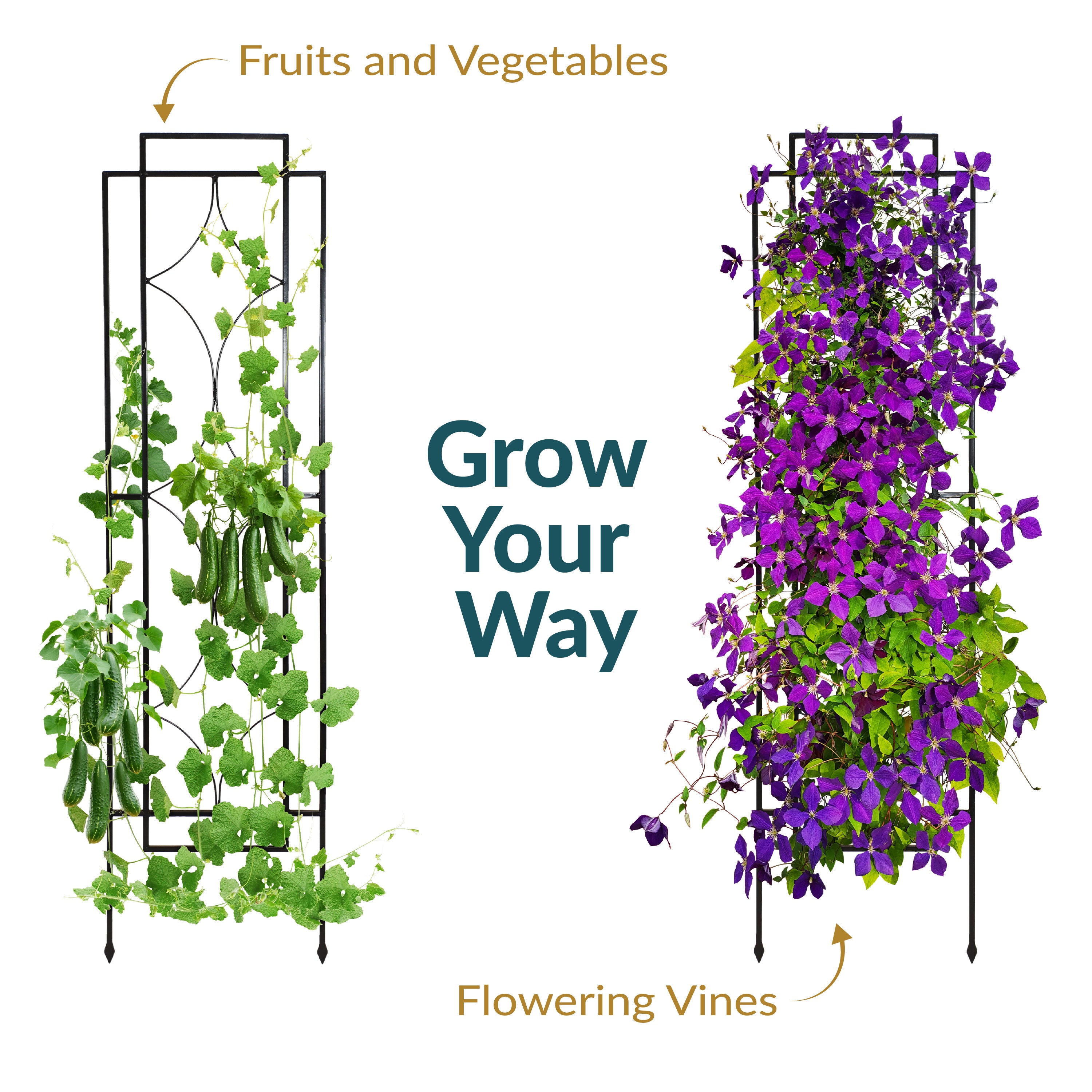 Stylish Sunnydaze 2-Piece Diamond Trellis for Climbing Plants - Perfect for Garden Vine Support, Outdoor Decor & Vertical Gardening