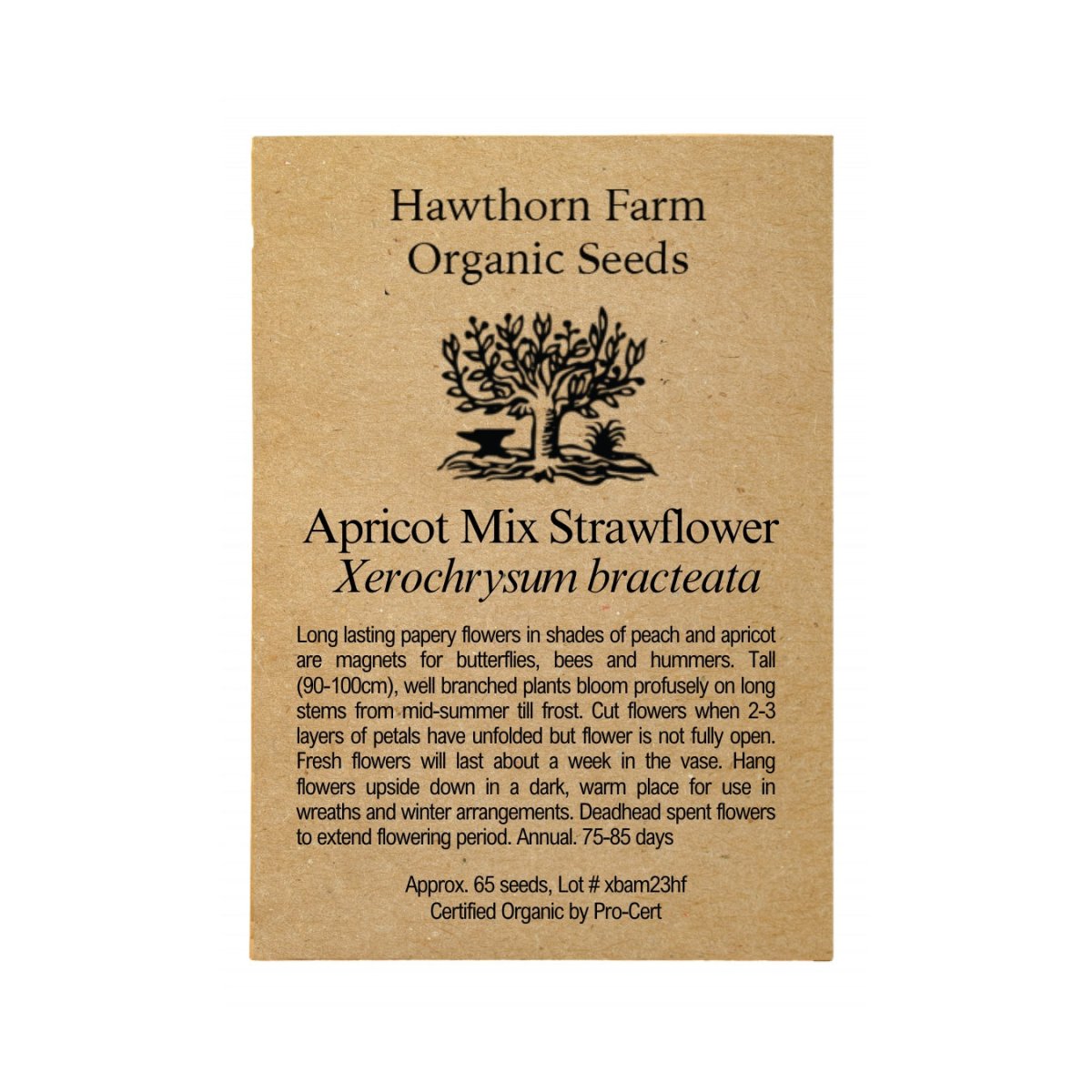 Premium Apricot Mix Strawflower Seeds for Planting - Vibrant Cut Flowers for Bouquets, Gardens & DIY Floral Arrangements