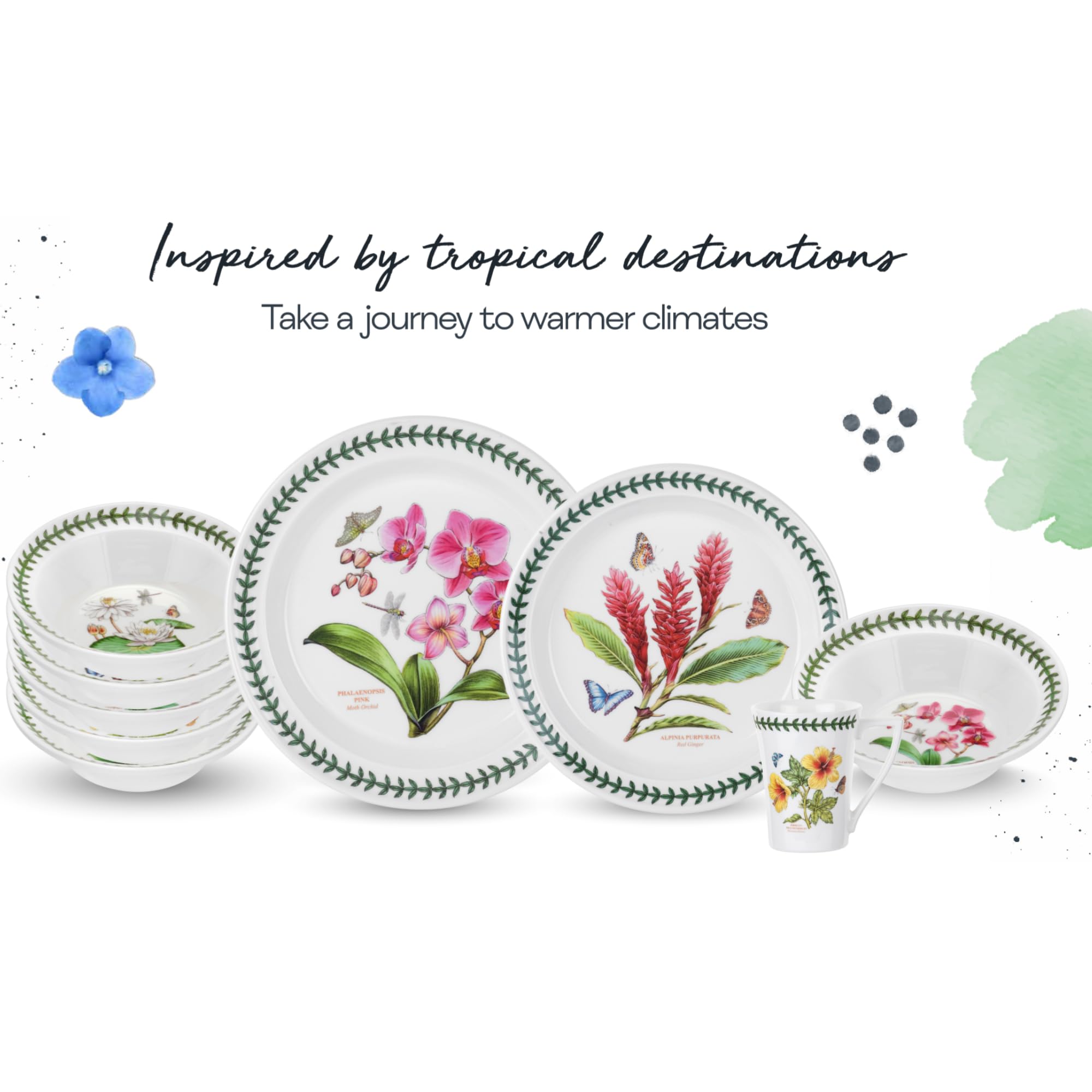 Portmeirion Exotic Botanic Garden 8.5