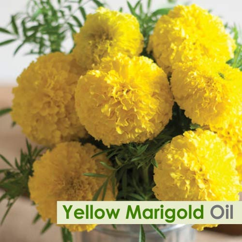 100% Pure Organic Marigold Essential Oil (Calendula officinalis) - Undiluted, Unrefined, Therapeutic Grade for Aromatherapy, Skincare & Massage - 2000ml/67.6fl oz Bulk Size - Perfect for DIY Beauty Products, Relaxation & Home Spa