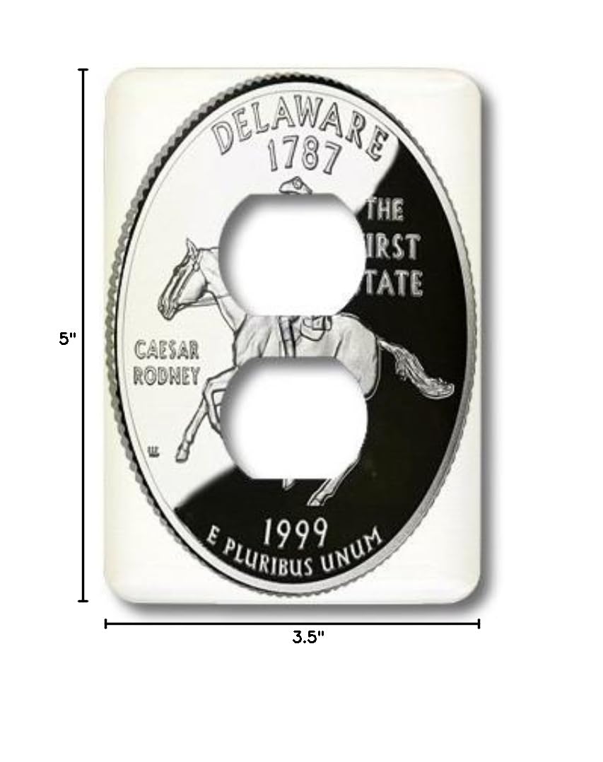 3D Rose Delaware State Quarter Outlet Cover - Decorative Electrical Plate for Home & Office Decor, Perfect for US History Enthusiasts and Coin Collectors
