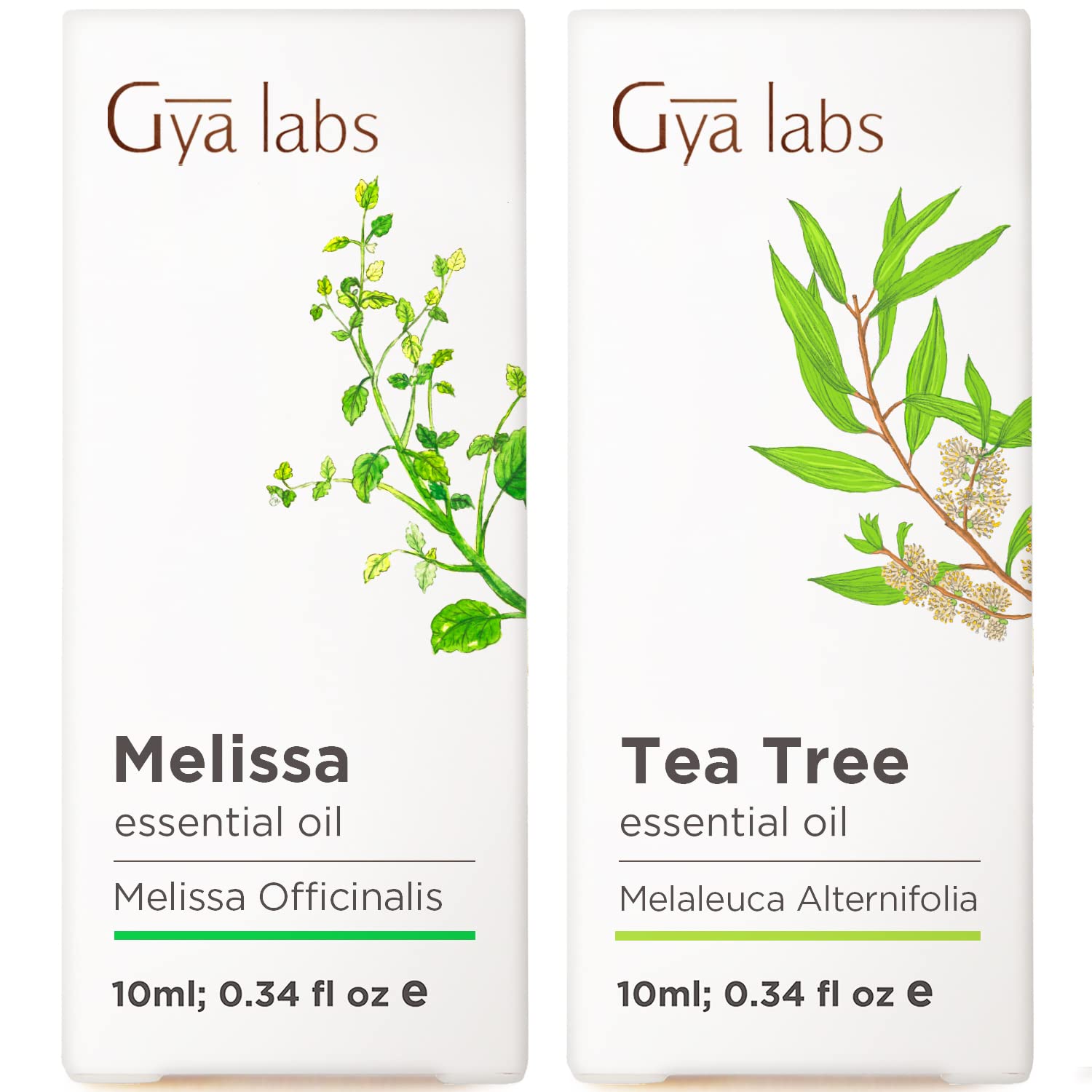 100% Pure Melissa & Tea Tree Essential Oil Set for Diffuser & Skin Care - 2x0.34 fl oz Aromatherapy Grade Oils by Gya Labs - Perfect for Relaxation, Stress Relief & Acne Treatment