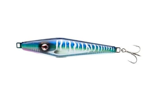 Spanish Mackerel