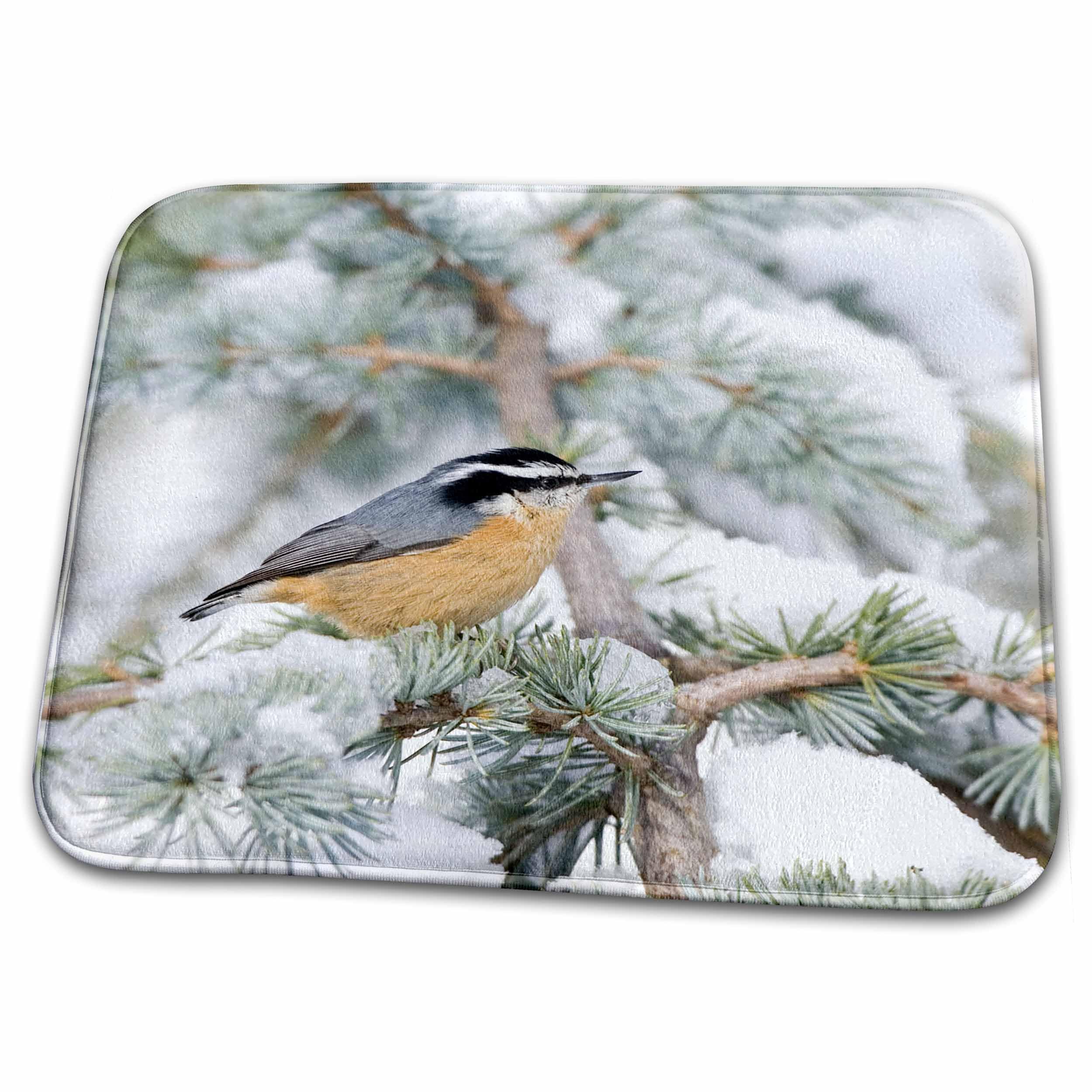 3D Rose Red-Breasted Nuthatch in Blue Atlas Cedar Winter Bathroom Rug Mat - Non-Slip Bath Rug for Bathroom Decor, Shower Mats, Cozy Home Accessories (rug-207224-1) - Perfect for Bathrooms, Kitchens & Entryways