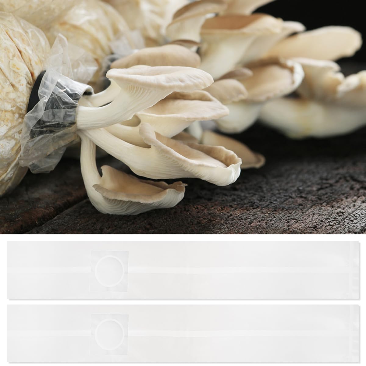 Happyyami 100 Pack Mushroom Grow Bags - Autoclavable PP Seal Bags for Spawning & CO2 Cultivation | Vegetable Plant Pots, Lockable Fruit Bags | Ideal for Home Gardening, Organic Farming & Mushroom Waxing Projects