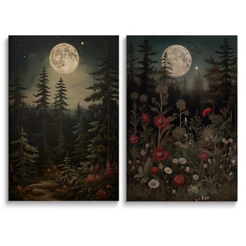 Dark Midnight Forest