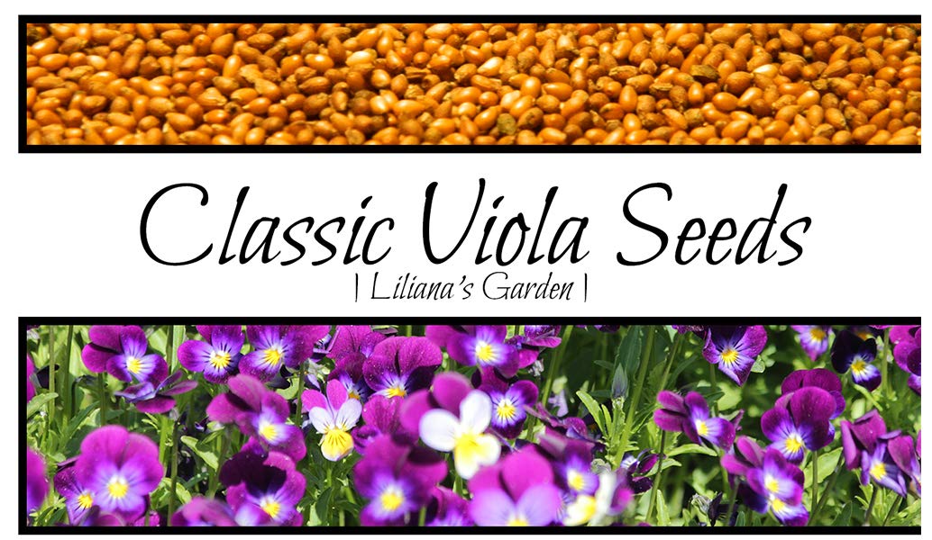 Viola Seeds - Classic 'Johnny-Jump-Up' Heirloom Flower Seeds | Annual Blooming Flowers for Gardens & Containers | Non-GMO Viola Tricolor Seeds by Liliana's Garden | Perfect for Borders, Rock Gardens & Window Boxes