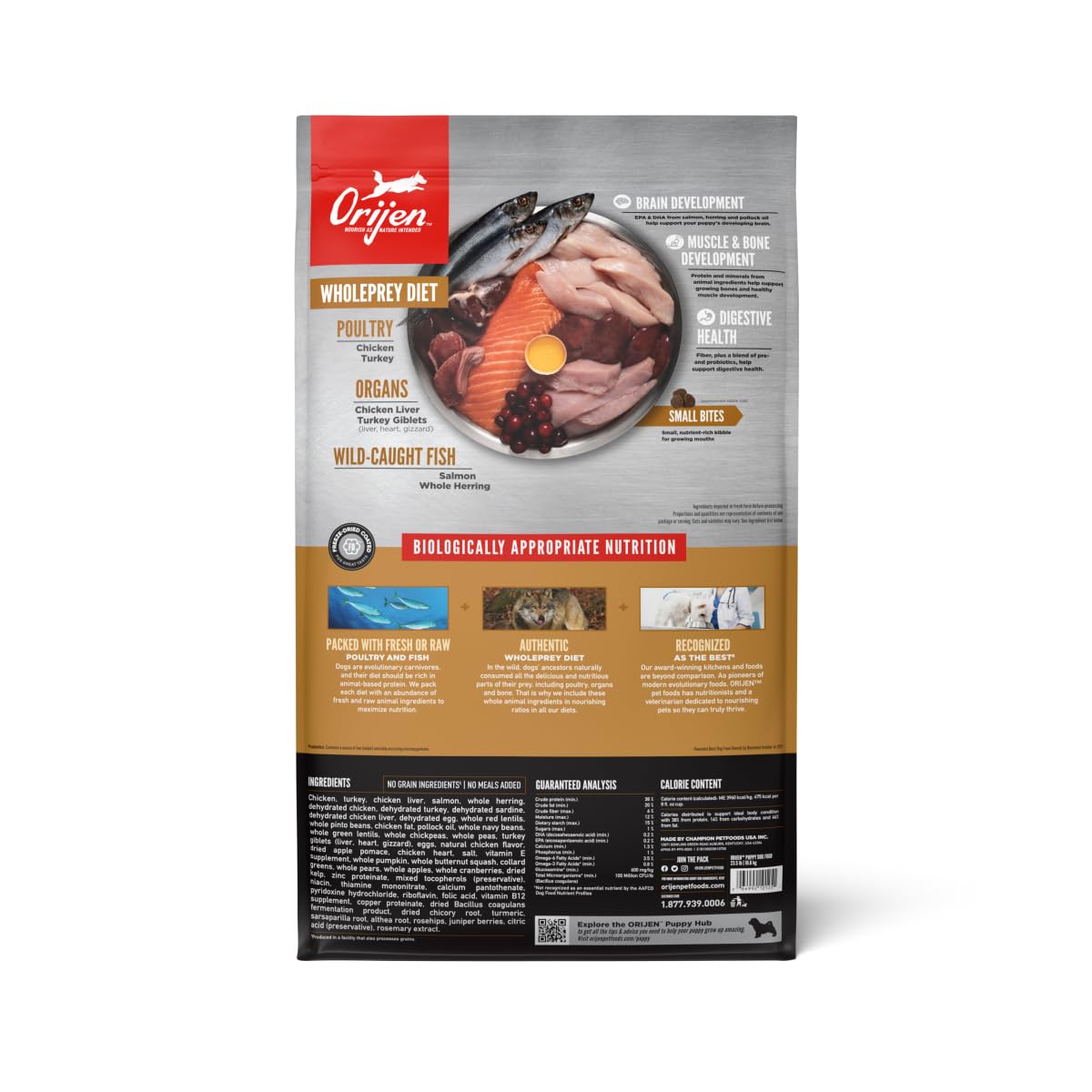 ORIJEN Grain Free Puppy Dry Dog Food - High Protein, Fresh & Raw Ingredients, 23.5lb Bag - Perfect for Growing Puppies & Small Breed Dogs - Ideal for Training, Daily Meals & Healthy Development