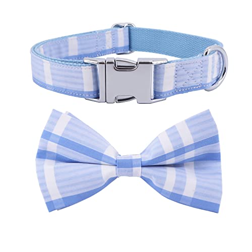 Blue Plaid