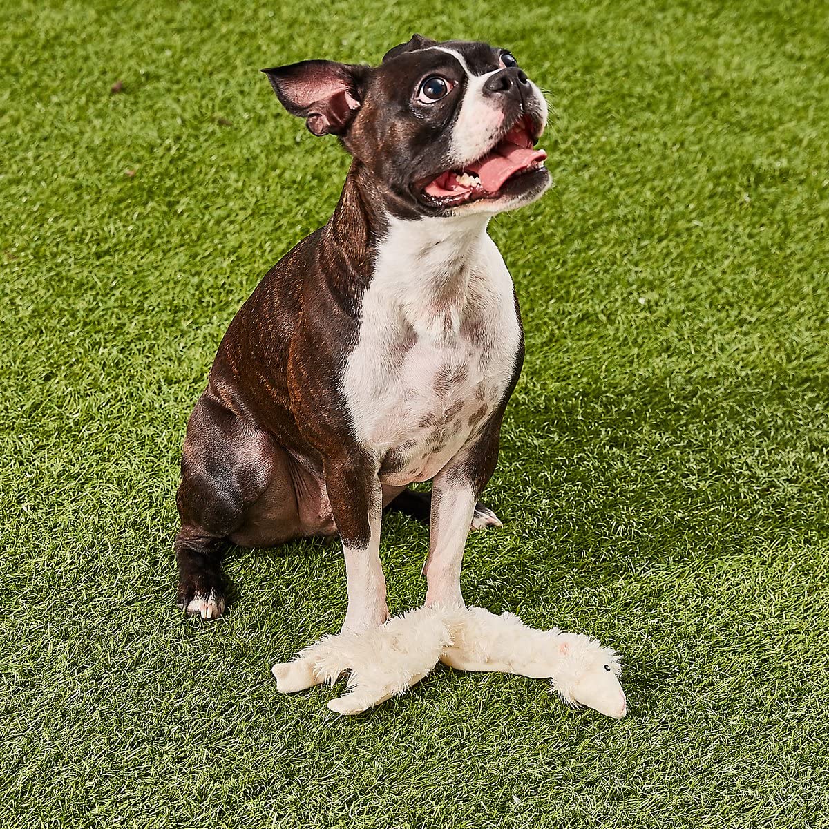 SPOT Skinneeez Crinklers - Stuffless Crinkle Dog Toy with Squeaker for Small & Large Breeds | Interactive Tug-of-War & Chew Toy for Puppies & Adult Dogs | Perfect for Indoor Play, Training & Bonding - Lamb Design (Small Size)