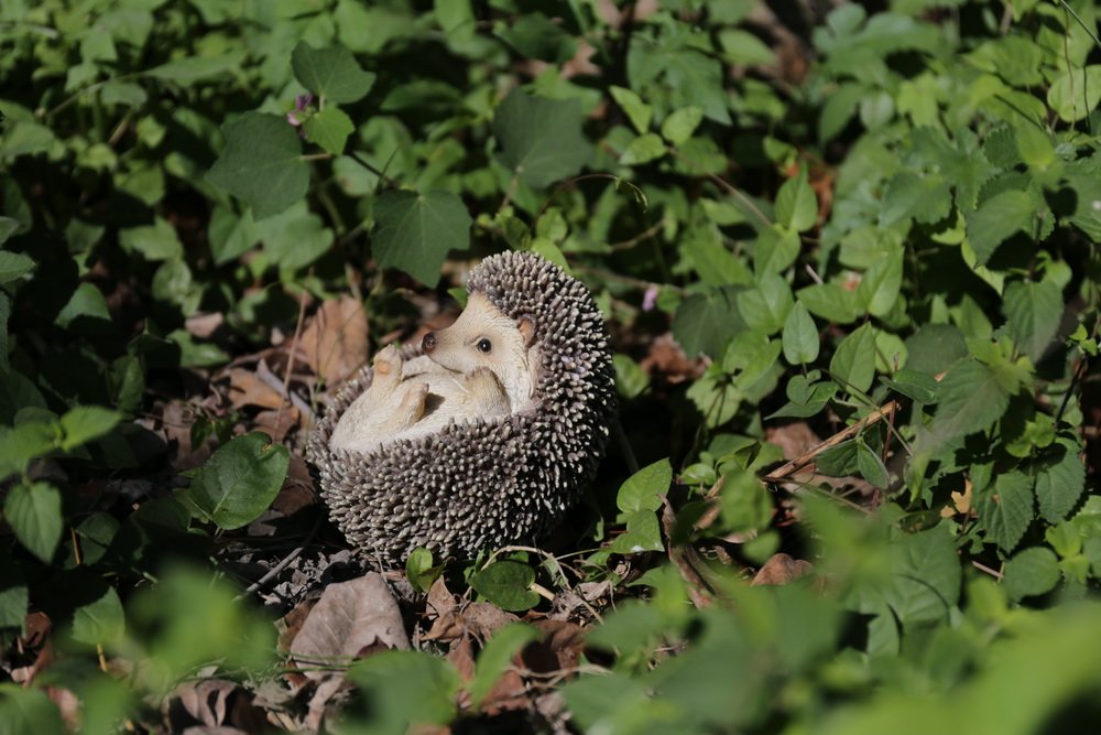 Hi-Line Gift Ltd Hedgehog on Back Statue - Cute Garden Decor, Unique Home & Office Decoration, Perfect Gift for Animal Lovers
