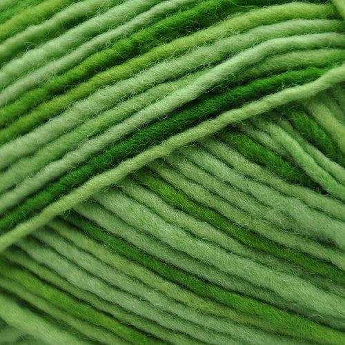 spring Sprouts - 1LL65P