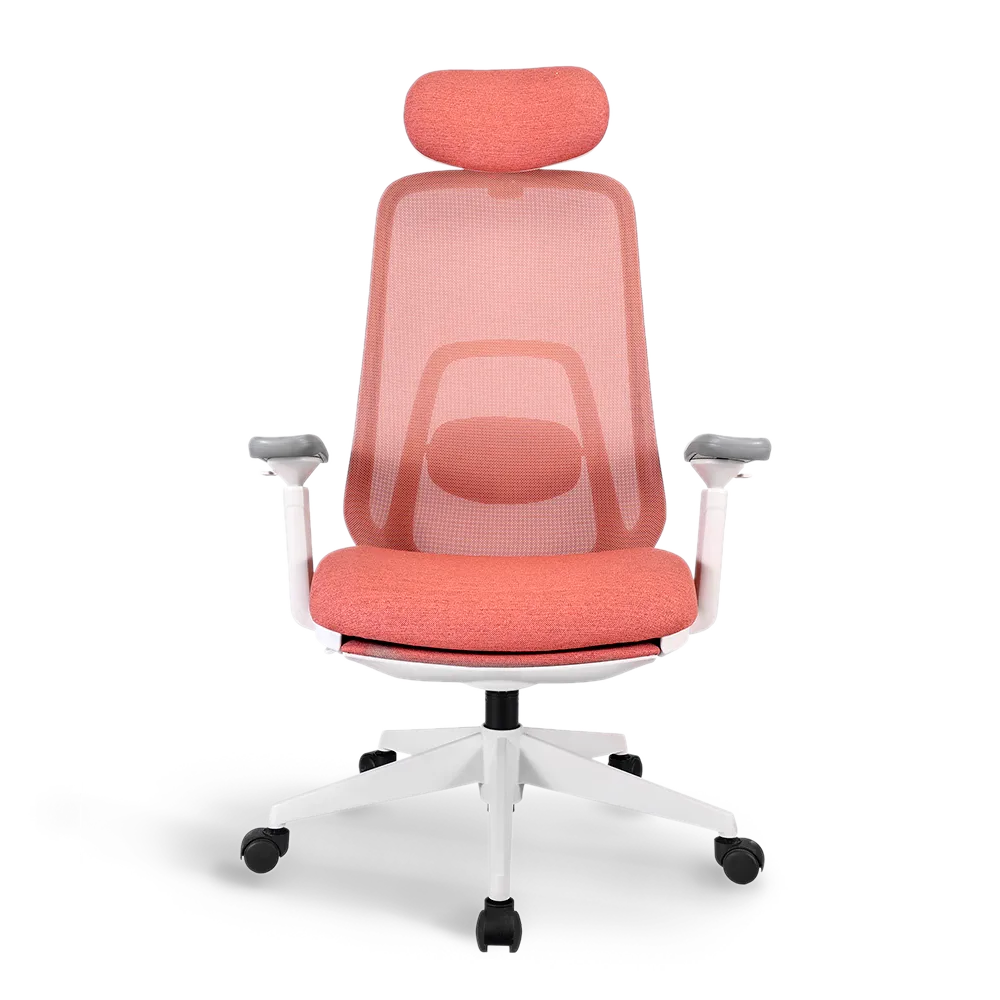 Pluto Ergonomic Office Chair - Adjustable Lumbar Support & Breathable Mesh Back - Perfect for Home Office, Gaming & Workspace