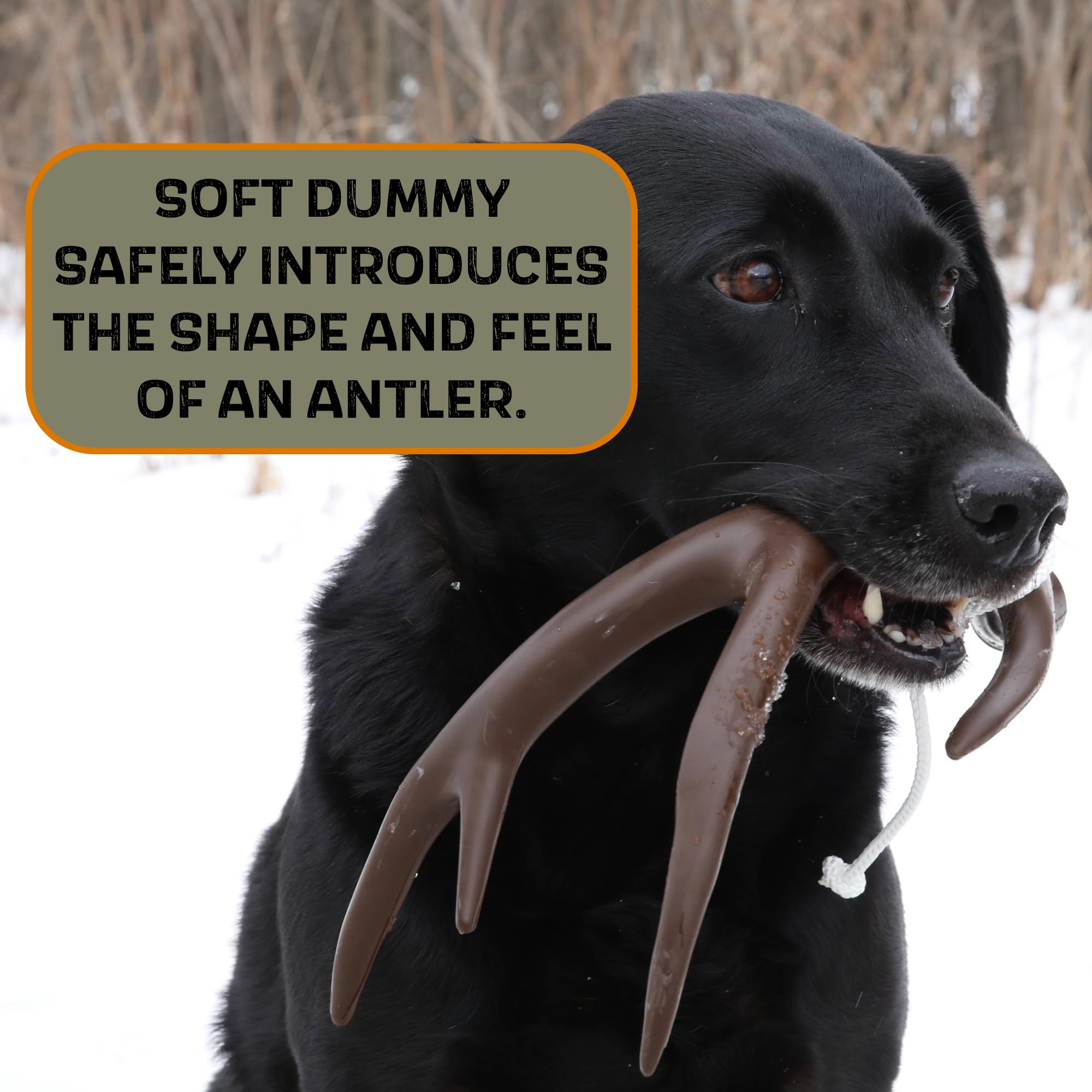 Premium Dog Bone Shed Training Dummy for Hunting Dogs - Scent Training Kit with Durable Brown Chew Toy | Perfect for Outdoor Hunting Practice, Obedience Training & Scent Work Exercises