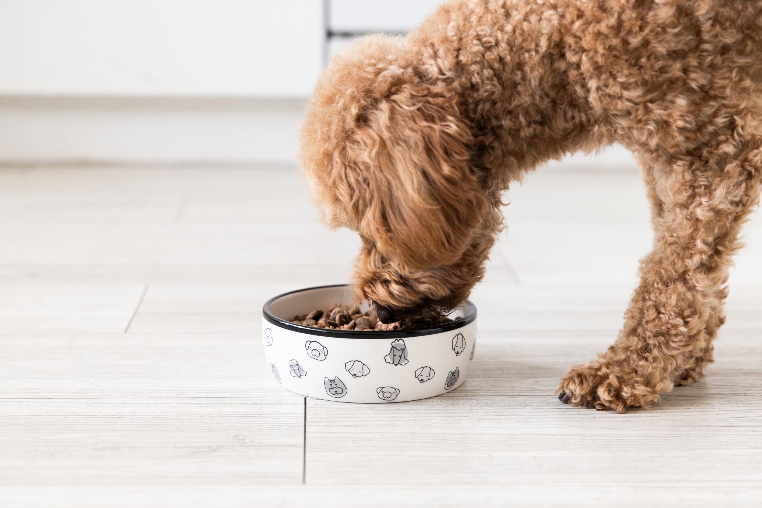 Pearhead Gray Dog Faces Pattern Ceramic Dog Bowl - 2 Cup Capacity Medium Pet Food & Water Dish - Microwave & Dishwasher Safe - Perfect for Indoor & Outdoor Feeding