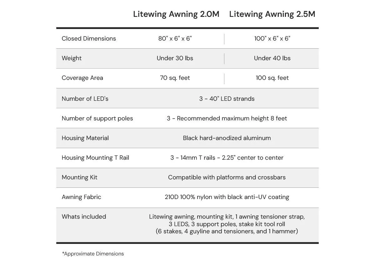 Litewing Regular - Lightweight Comfortable Everyday Sneakers for Men & Women | Perfect for Walking, Running & Casual Wear