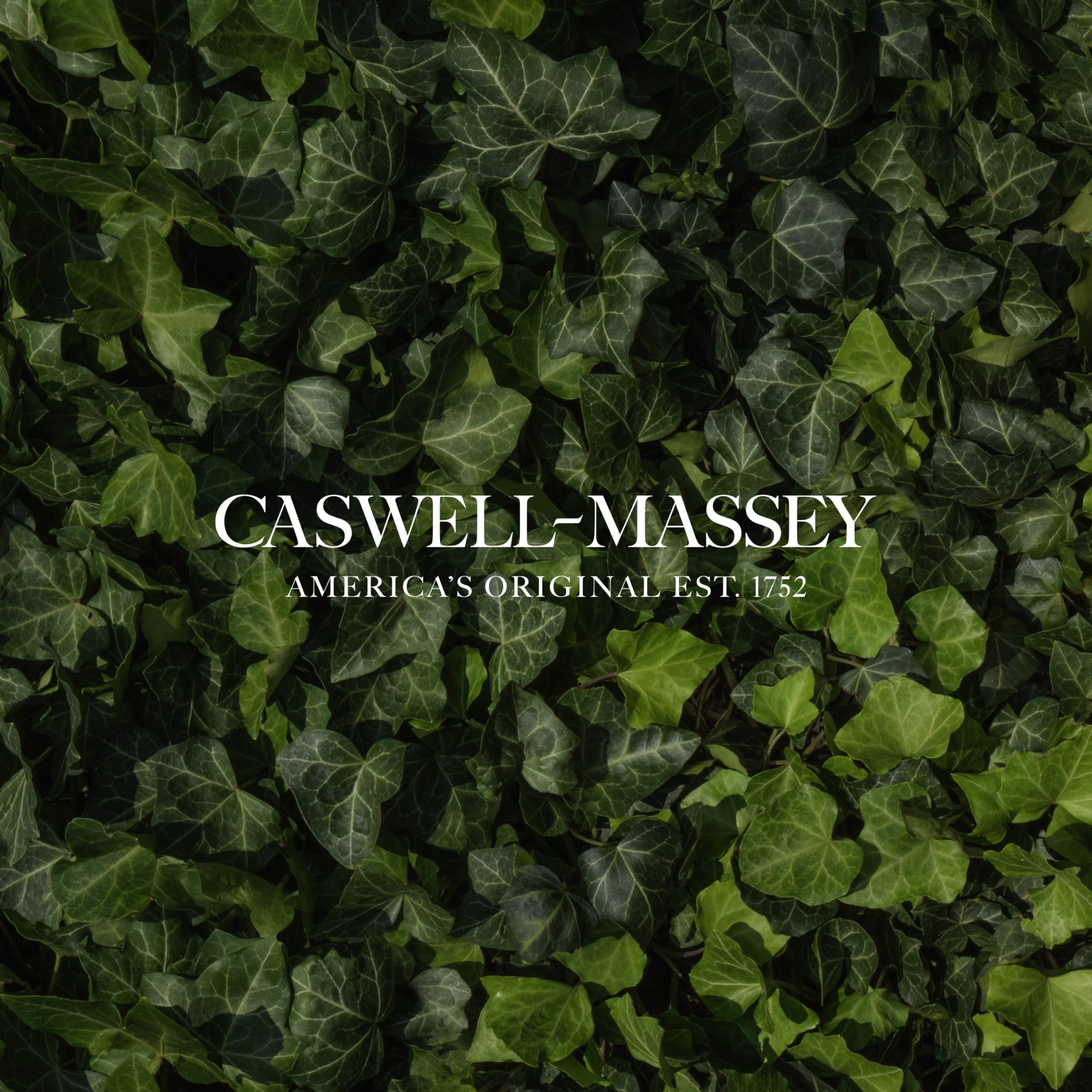 Caswell-Massey Woodgrain Sandalwood Gold Cap Cologne for Men - 3 Fl Oz | Rich Santalum Album Scent with Cedar & Citrusy Musk Notes | Perfect for Date Nights, Office Wear & Special Occasions
