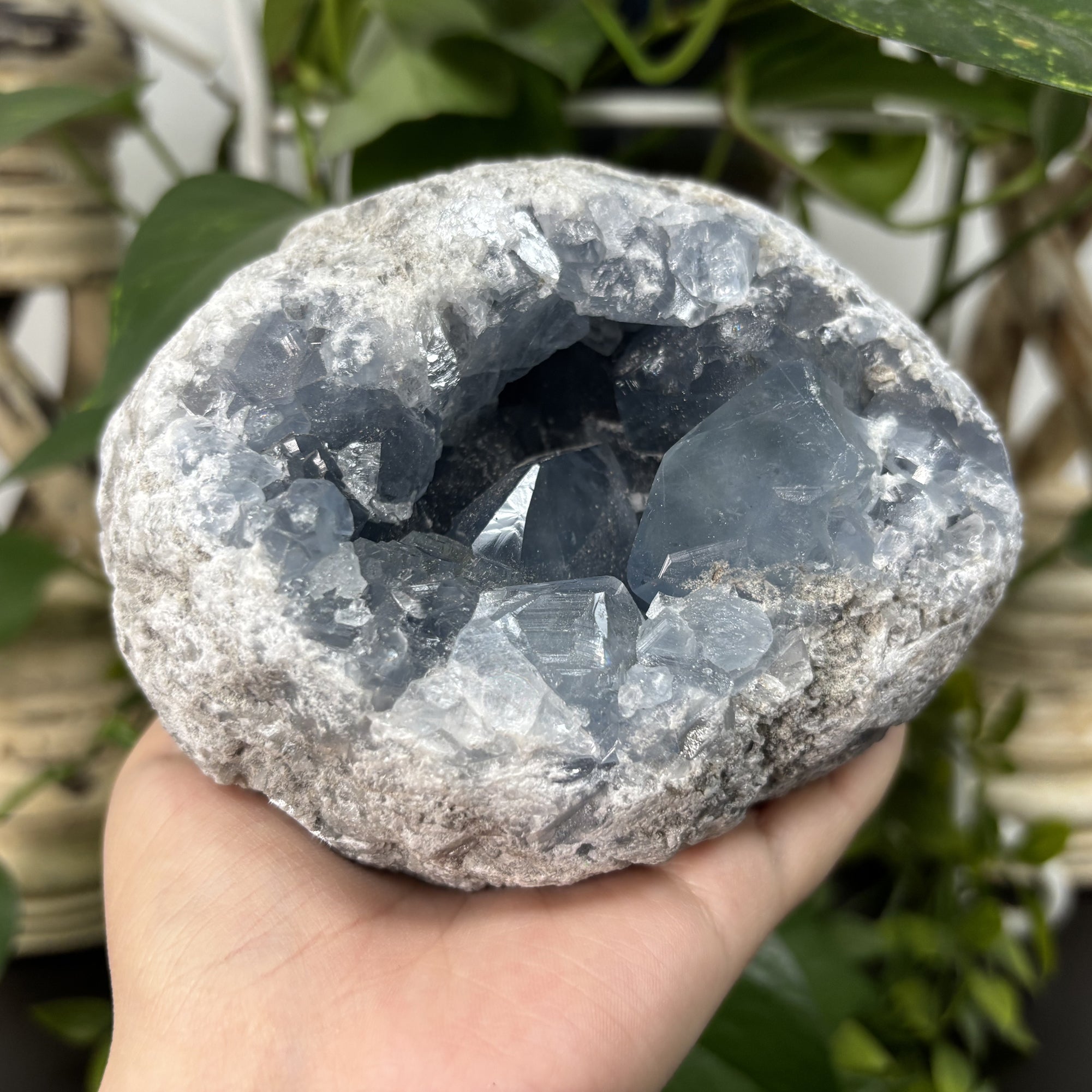 Natural Celestite Crystal Geode - Blue Healing Stone for Meditation, Chakra Balancing & Energy Work | Calming Home Decor for Bedroom, Office & Spiritual Space (RGD777)