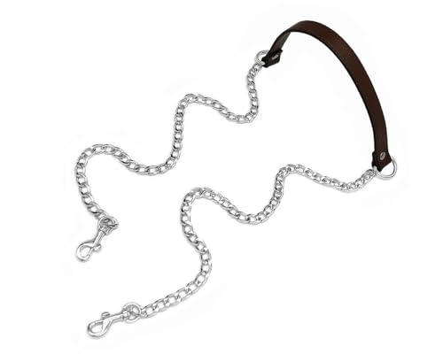 Expresso-silver Buckles