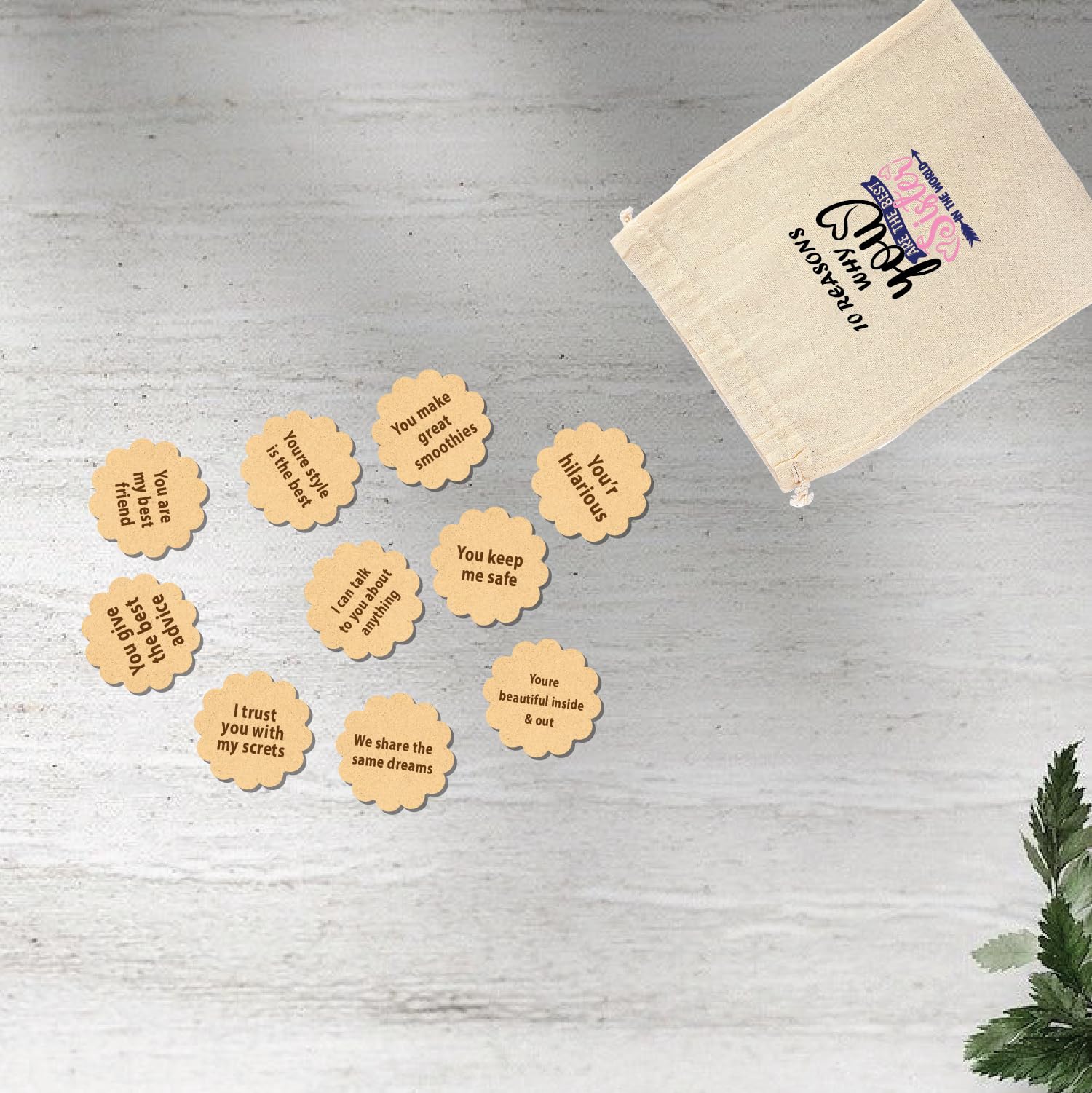10 Reasons Why You're the Best Sister - Wooden Puzzle Gift for Sisters | Thoughtful Present for Birthday, Christmas & Sister Appreciation Day
