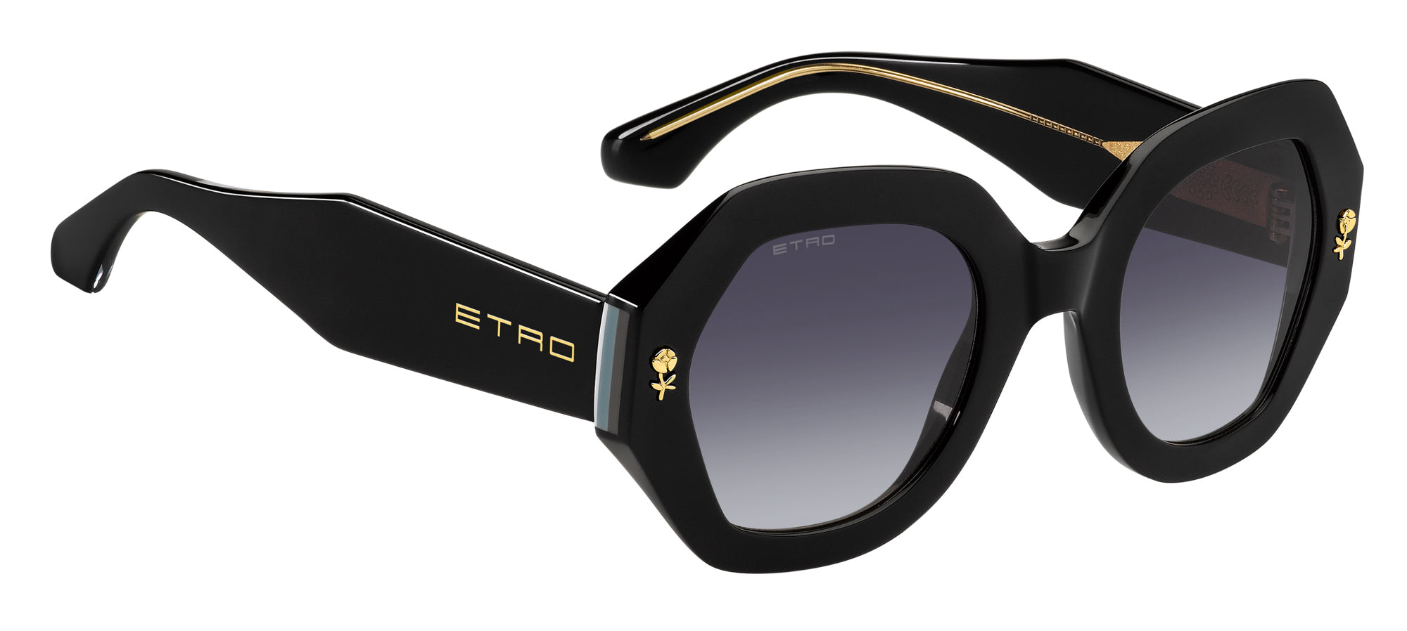 Etro 0009 S - Premium Luxury Sunglasses for Men & Women | UV Protection, Stylish Design | Perfect for Outdoor Activities, Travel & Fashion Statements