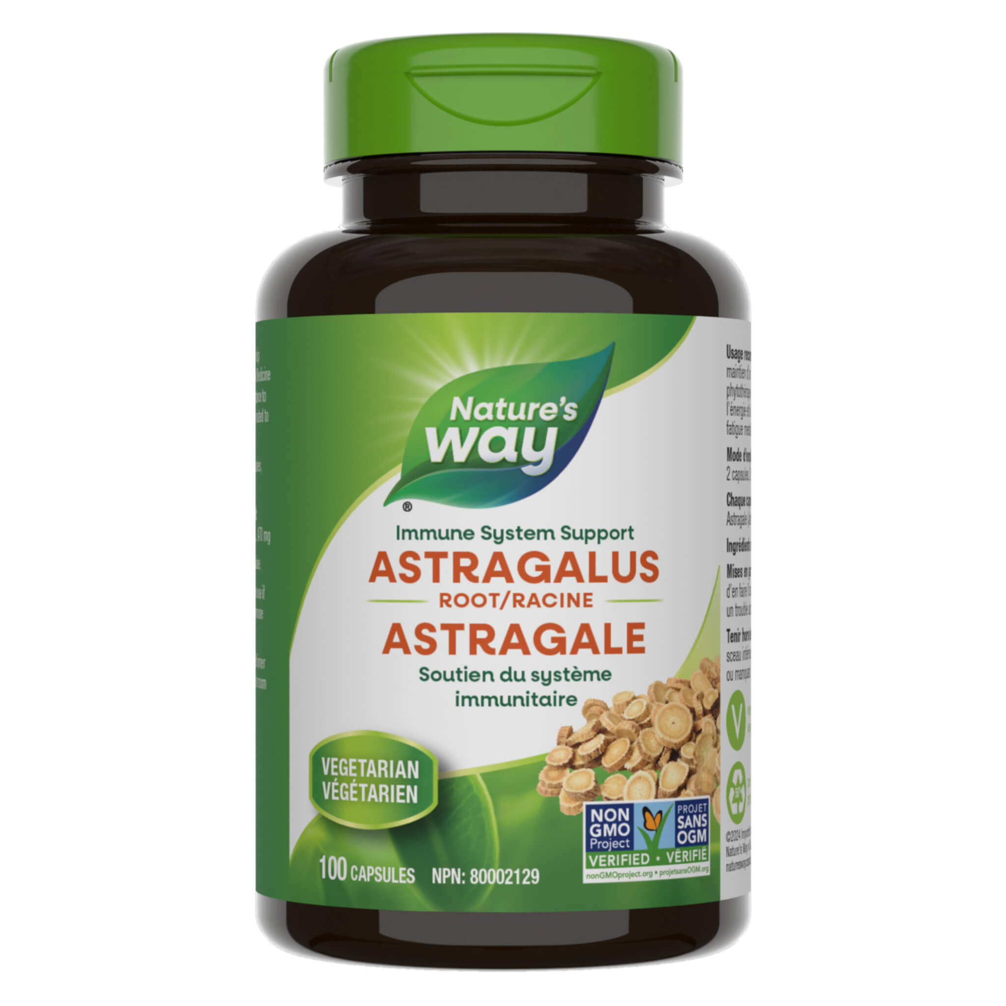 Premium Organic Astragalus Root Powder - 100% Pure & Natural Immune Booster for Herbal Tea, Smoothies & Wellness Supplements | Supports Energy & Vitality