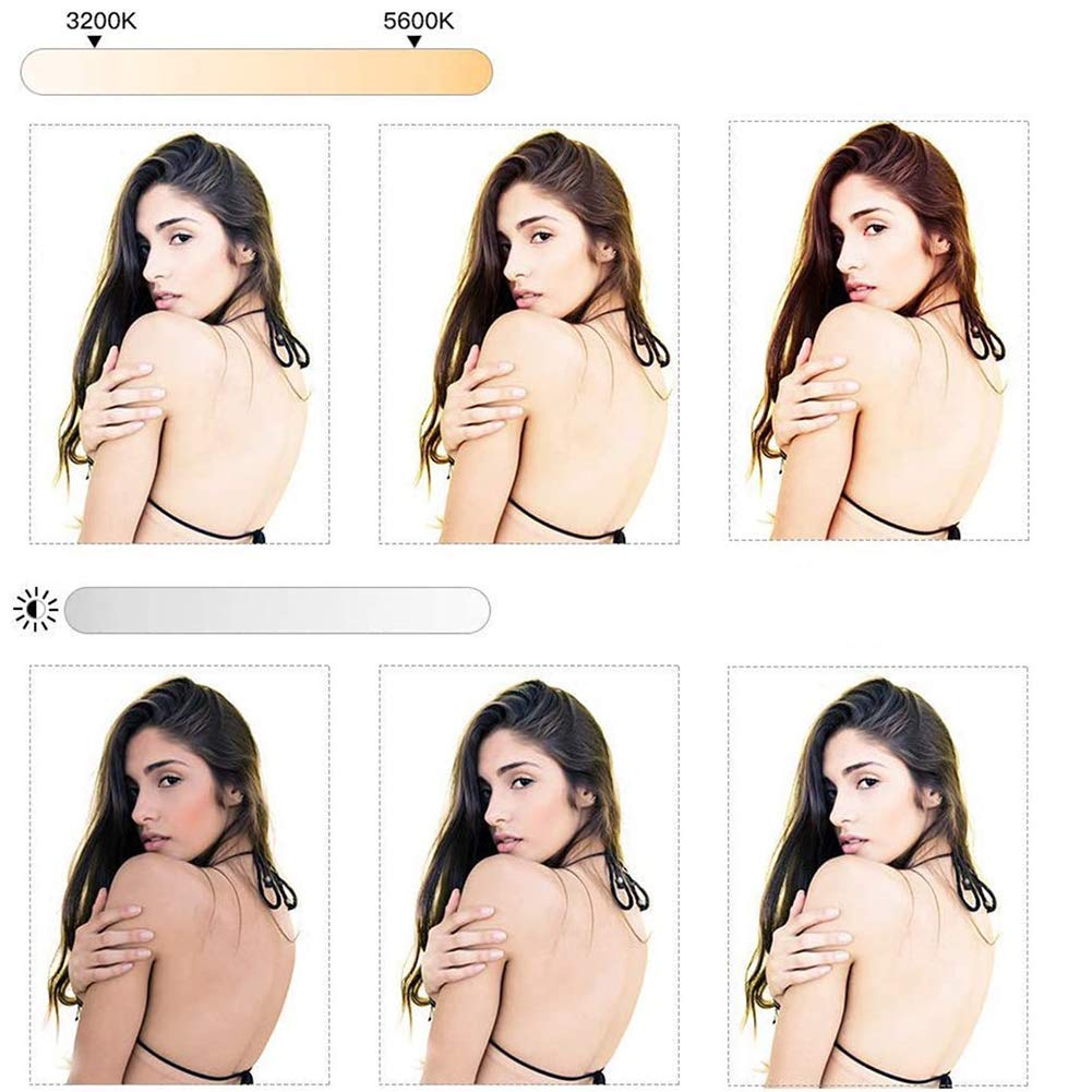 ROYAUX 10 Inch LED Ring Light with 3 Adjustable Modes - Dimmable Selfie Light with Tripod Stand & Phone Holder for Photography, Makeup, YouTube Videos & Live Streaming