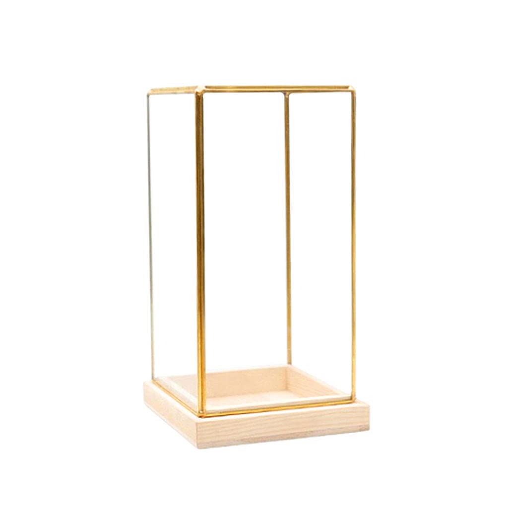 FAKEME Glass Display Case with Brass Frame - Premium Countertop Showcase for Collectibles, Action Figures, Toys, Jewelry & Air Plants - Perfect for Home Decor, Shop Displays & Terrarium Enthusiasts