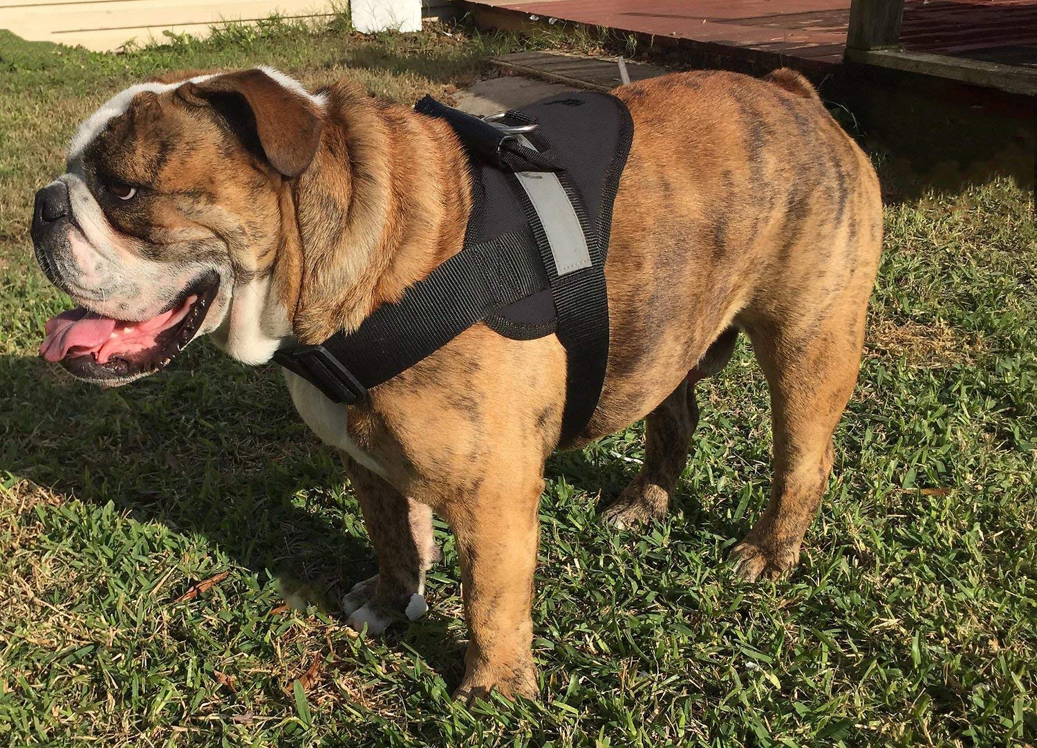 Big Dog No-Pull Soft Harness - XXLarge Size, Black Color for Large Breeds | Comfortable & Secure Walking Harness for Training & Outdoor Adventures