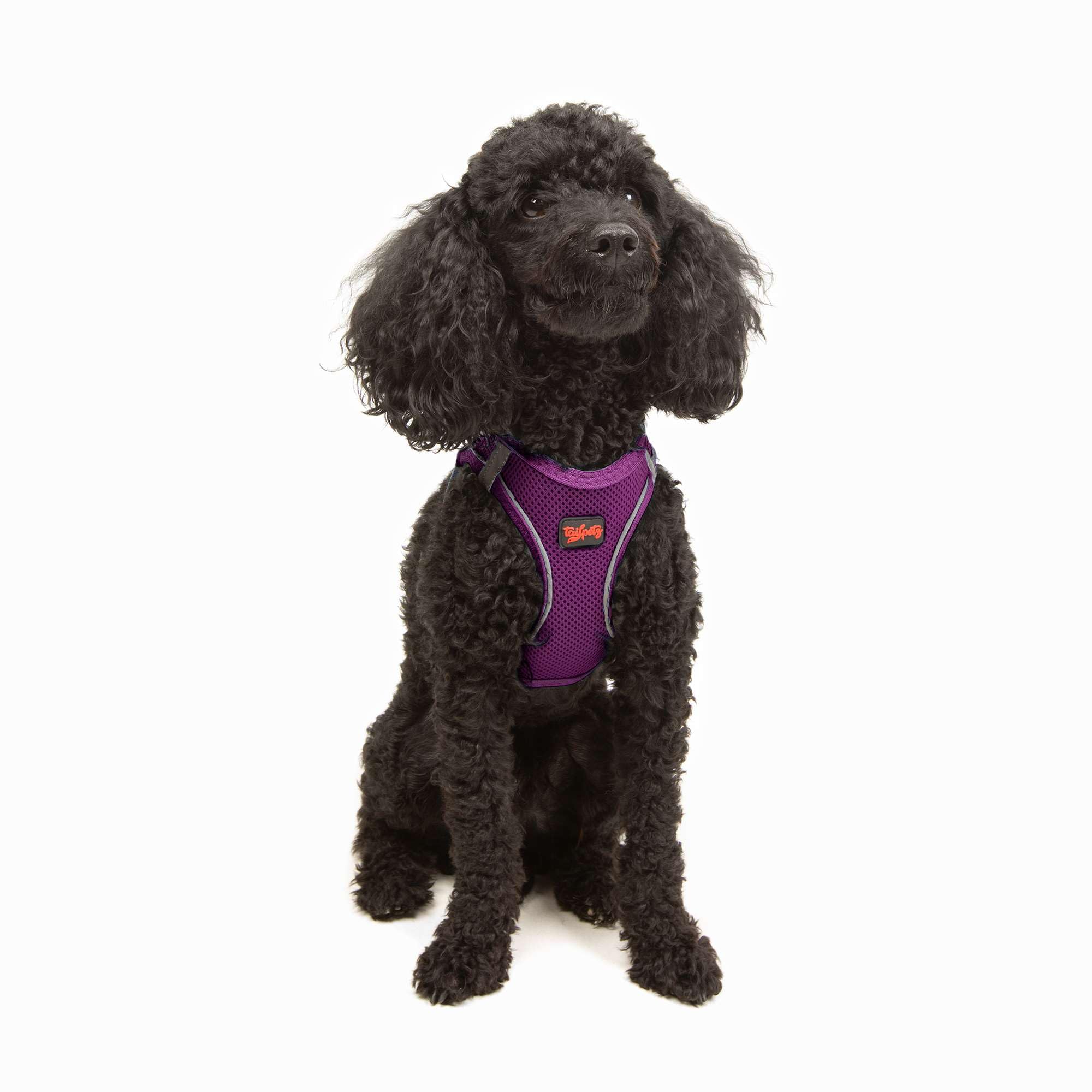 Tailpetz XS No Pull Dog Harness - Adjustable Step-in Reflective Puppy Vest for Small Dogs (Purple) - Perfect for Training, Walking & Outdoor Adventures