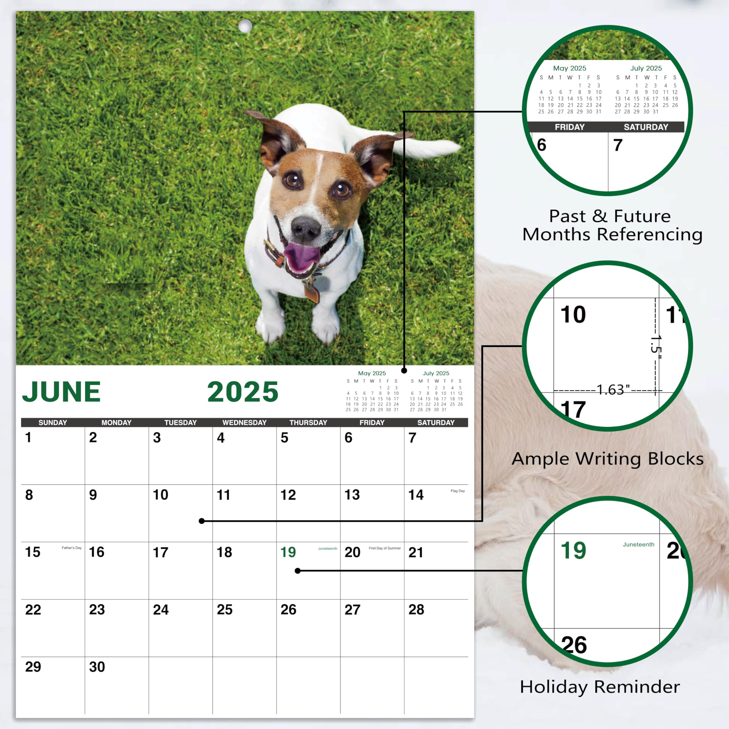 2025 Funny Pooping Dogs Wall Calendar - 11x17 Inch Jan-Dec Gag Gift for White Elephant, Office Humor & Dog Lovers - Perfect for Home, Office Decor & Unique Gift Giving