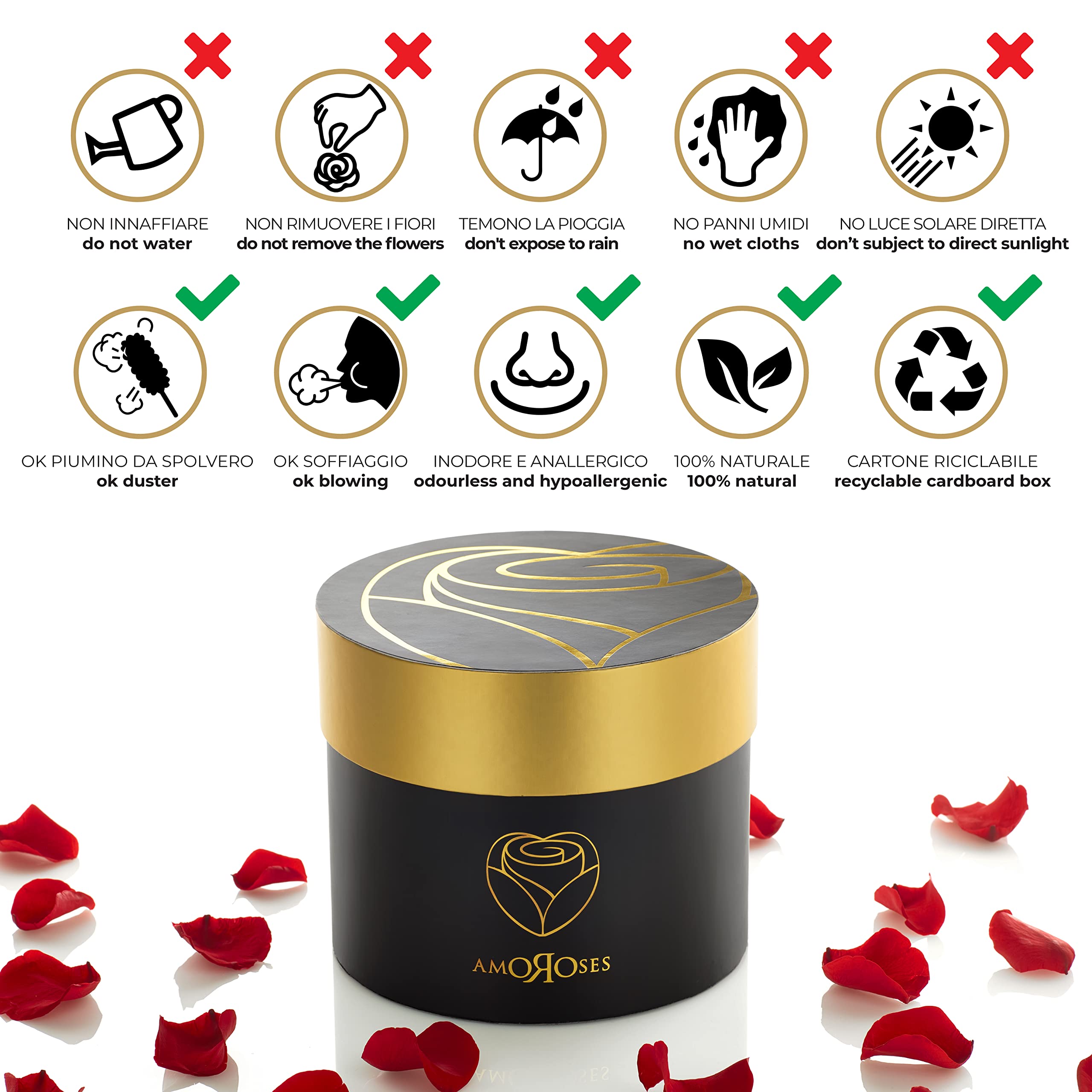 Amoroses 12 Preserved Real Roses Last for Years - Elegant Gift for Her, Valentine's Day, Anniversaries & Special Occasions (Black Box with Red Roses) - Perfect for Home Decor, Wedding Centerpieces & Romantic Surprises