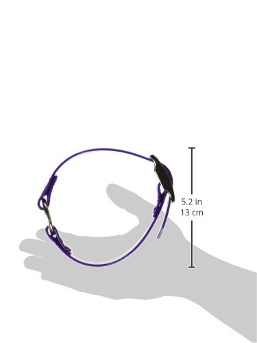 Sunglo Reflective Dog Collar with Center Ring - 1