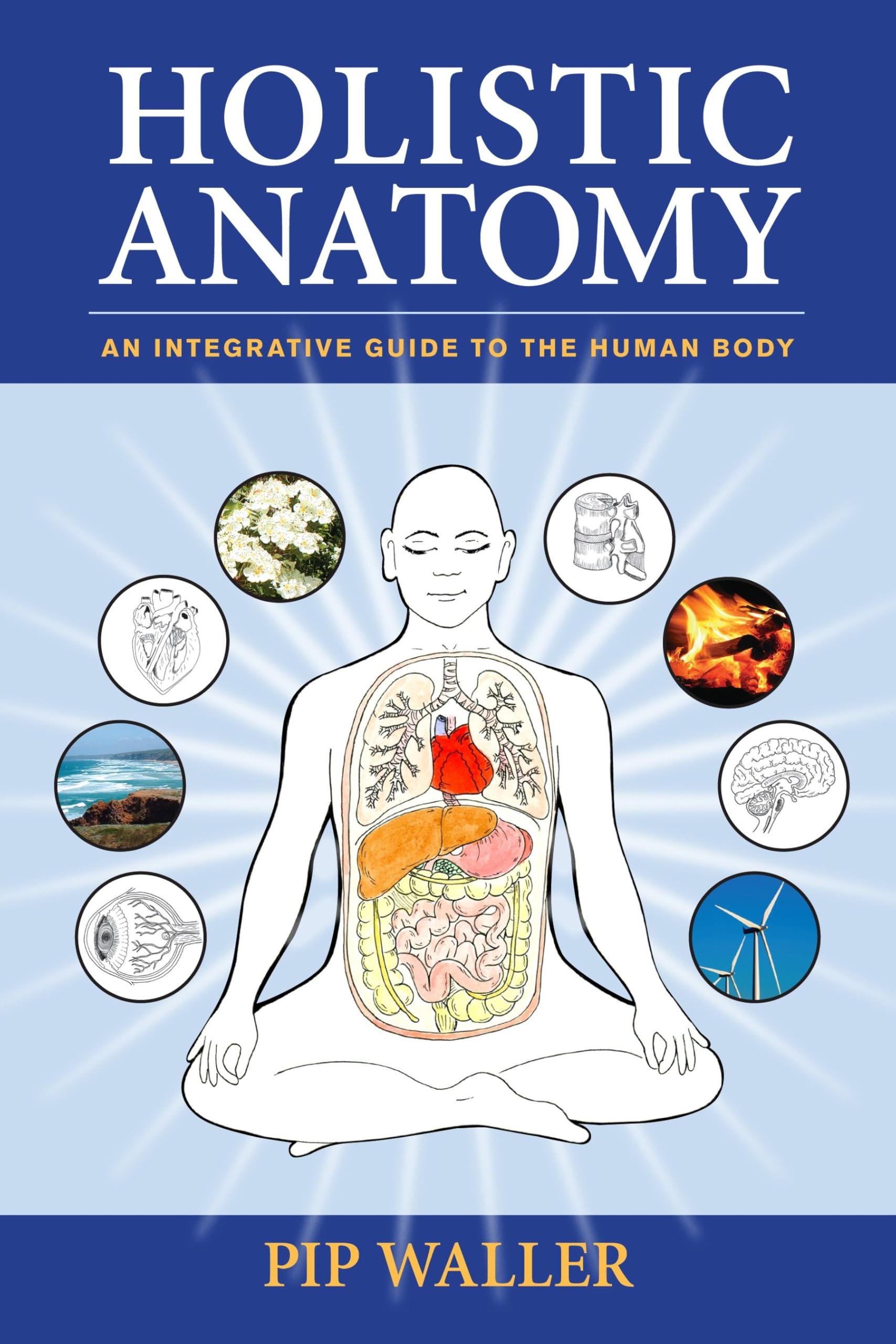 Holistic Anatomy: Comprehensive Guide to Human Body Structure & Functions | Perfect for Students, Yoga Instructors & Health Enthusiasts