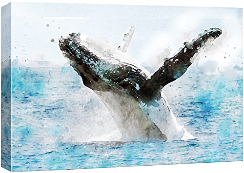 Bs21-2105-marinelife-slm02