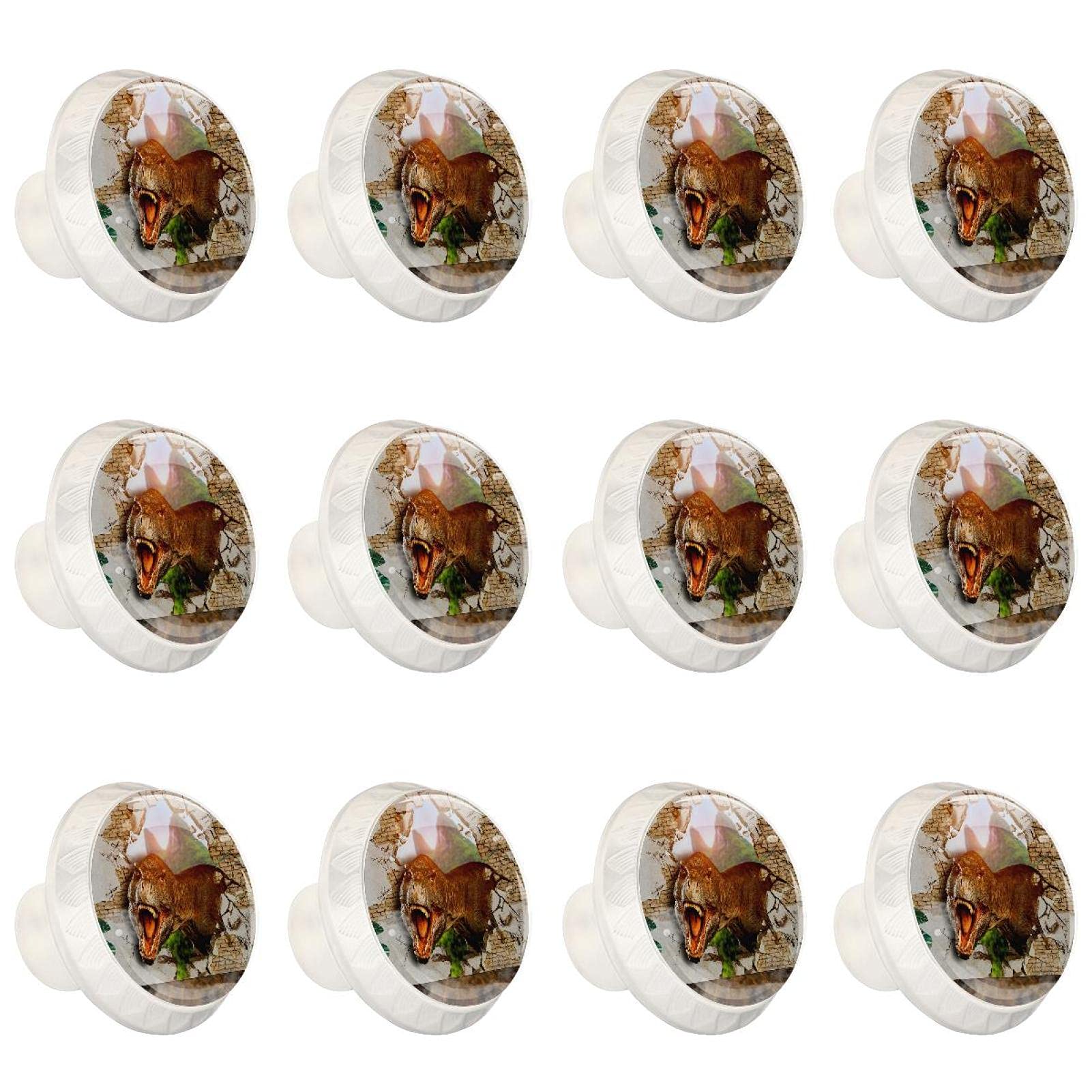 12 Pack Dinosaur Cabinet Knobs - Decorative Drawer Pulls for Dresser, Wardrobe, Cupboard & Bookcase - Unique Wall Crack Design - Perfect for Kids Room, Nursery & Dinosaur Themed Decor