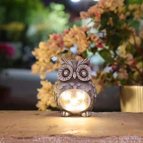 owl