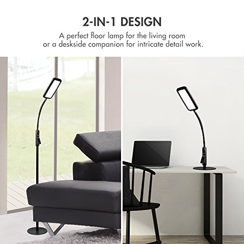 Tenergy 2-in-1 LED Floor & Desk Lamp - Dimmable 2000 Lumens Task Light with 60-Min Timer, Flexible Gooseneck & Touch Control - Perfect for Reading, Crafting, Home Office & Nightstand Lighting