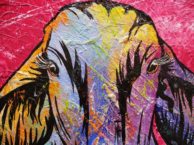 120cm x 120cm Droughtmaster Cow Canvas Art Painting - Premium Wall Decor for Living Room, Bedroom, Office | Farmhouse & Western Style Home Decor