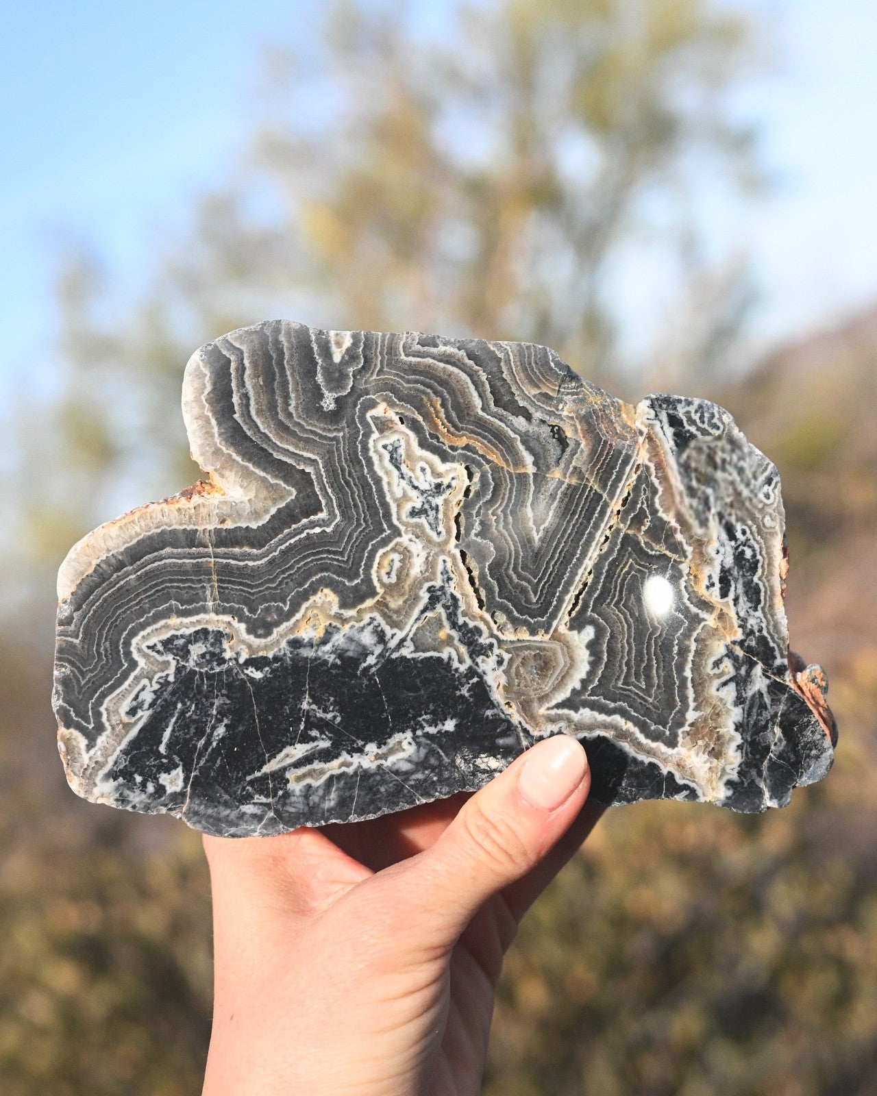 Natural Pilbara Agate Geode Large - Unique Crystal Decor for Home, Office & Meditation Spaces | Healing Stones & Spiritual Gifts