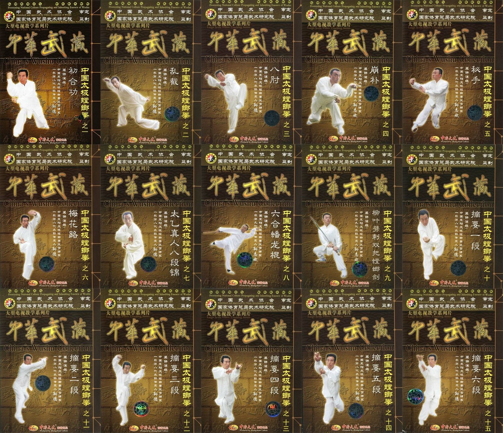 Traditional Chinese Wushu Taiji Mantis Boxing 23 DVD Set by Sun De & Sun Zhibin - Learn Ancient Martial Arts for Self-Defense, Fitness & Meditation at Home