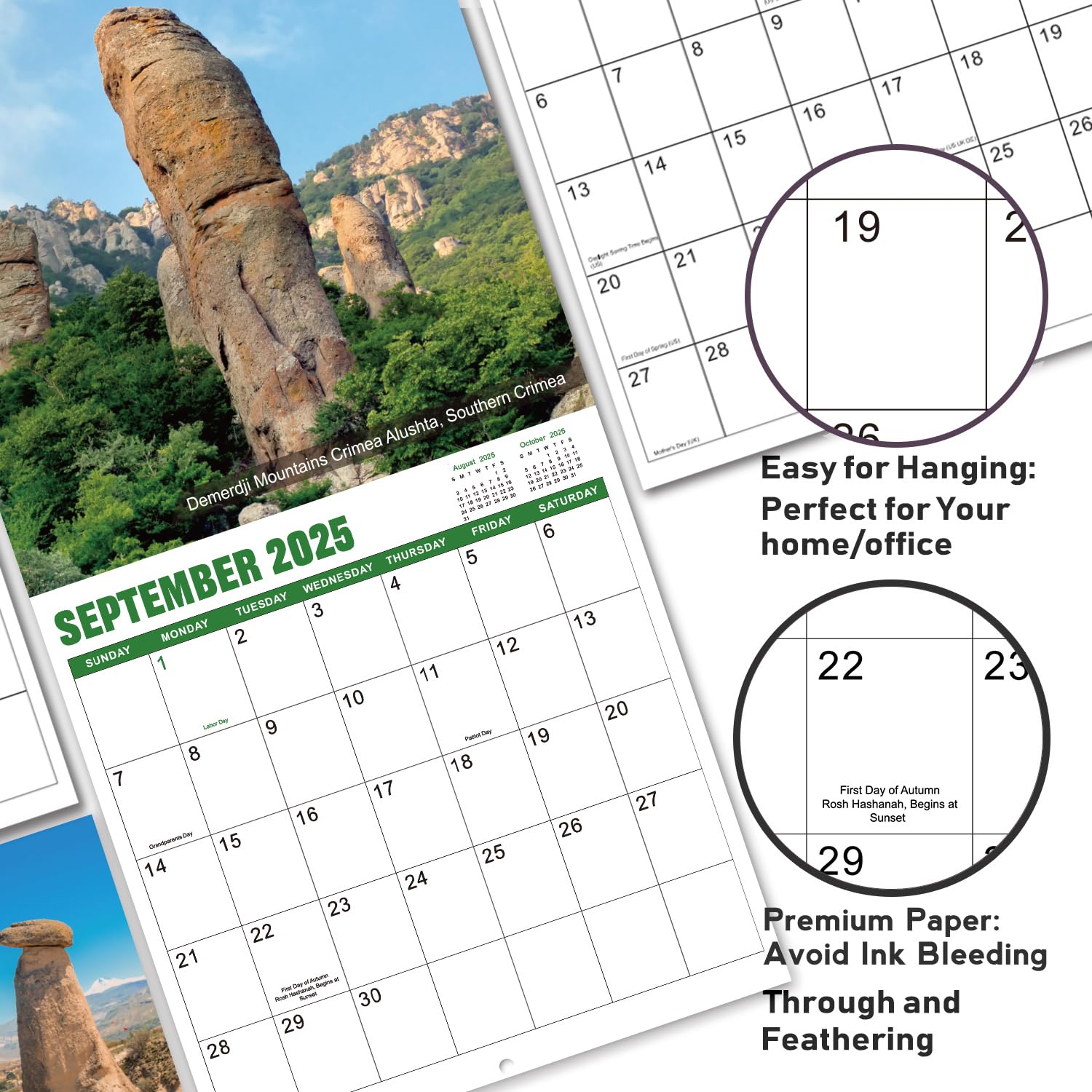 Funny 2025 Wall Calendar with Thick Paper - 12