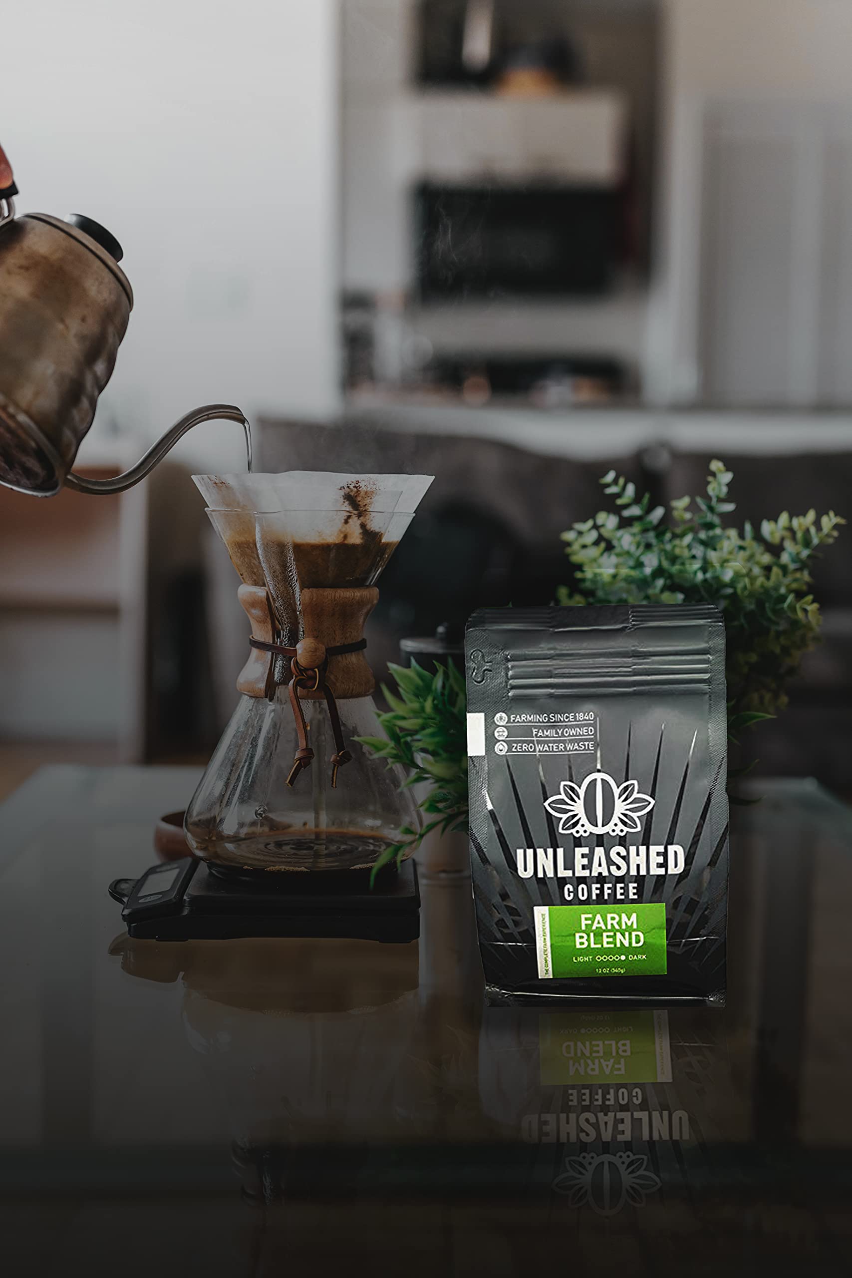Premium Dark Roast Whole Bean Coffee | 100% Arabica Brazilian Coffee Beans | Direct Trade Farm Fresh Gourmet Coffee | 12 oz Bag | Perfect for Home Brewing, Office & Gifting