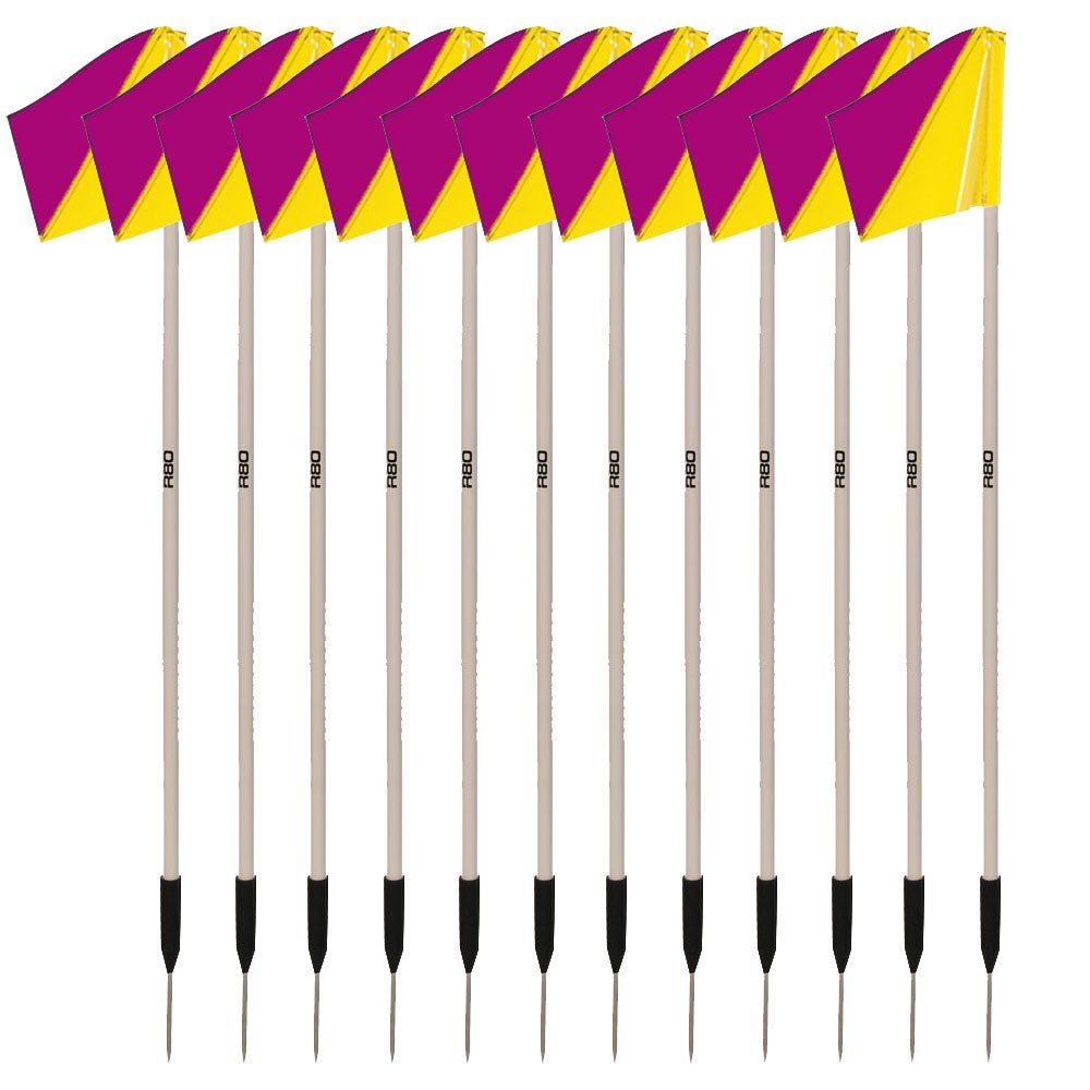 Premium Sideline Pole with Custom Club Colors Flag Sets - Perfect for Football, Soccer, and Sports Team Fan Support