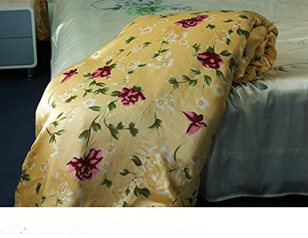 Luxury 100% Mulberry Silk Duvet Cover Set - 16.5mm Charmeuse Silk Bedding for Queen/King/Full/Twin Size - Soft & Breathable Quilt Cover for All-Season Comfort - Perfect for Master Bedroom, Guest Room & Hotel Use
