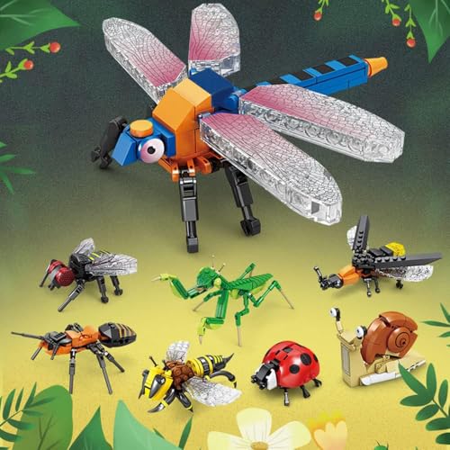 Insects Family a